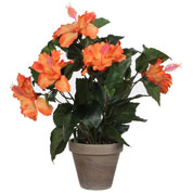Artificial Plant - Orange Hibiscus - MICA